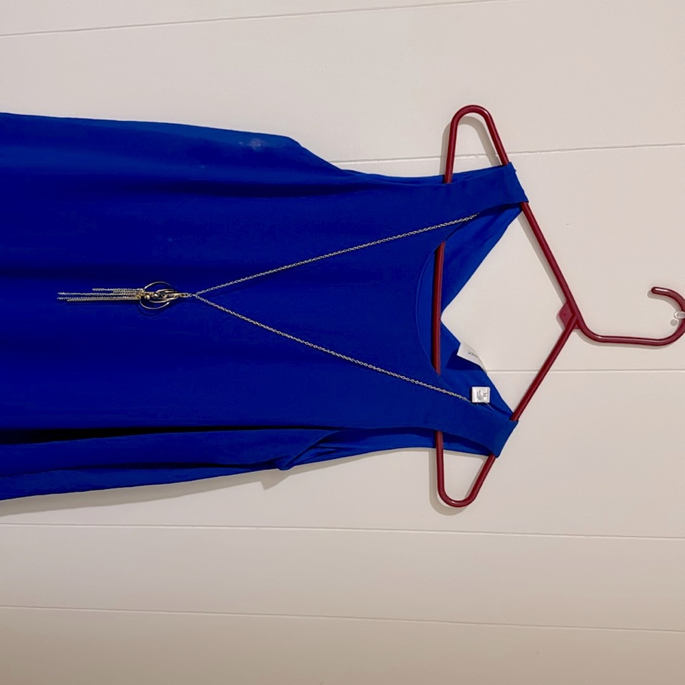 Royal Blue Dress with Necklace.